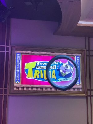 IMG_3838.jpeg