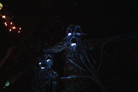 f7fc84d8-ada6-4eb2-9b8e-f5baba10b6c1.jpg