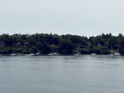IMG_7150.jpeg