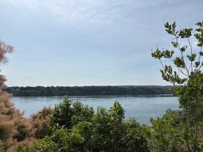 IMG_7143.jpeg