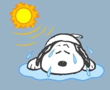 SNOOPY HOT.jpg