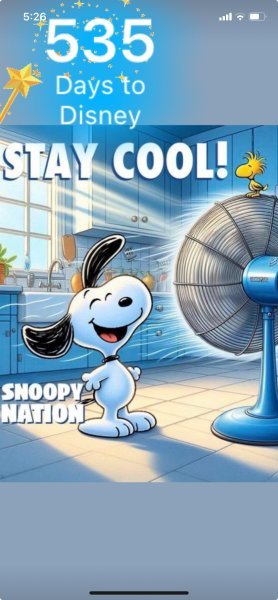 SW STAY COOL.jpeg