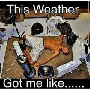 memes_hot_weather_1.jpg