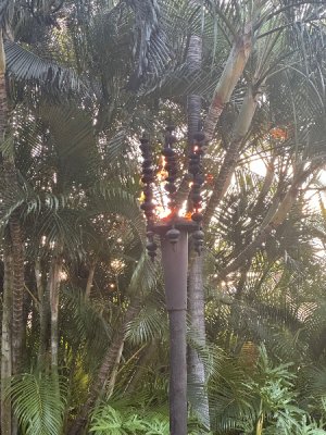IMG_3331.jpeg