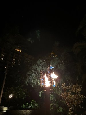 IMG_3346.jpeg