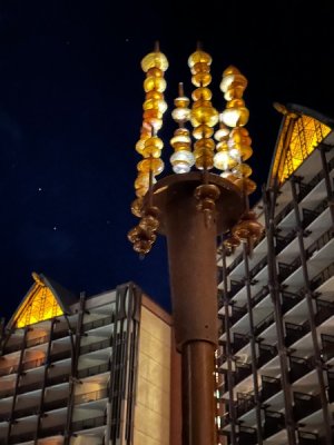 IMG_3347.jpeg