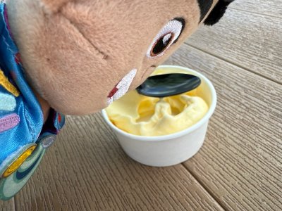 IMG_1995.jpeg