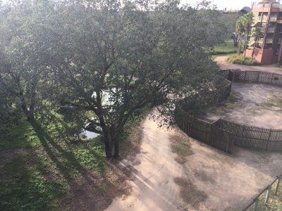 IMG_0816.jpeg