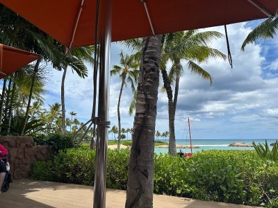 IMG_3368.jpeg