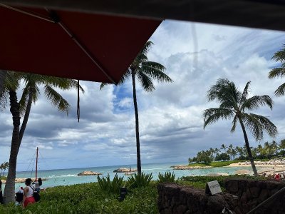 IMG_3371.jpeg