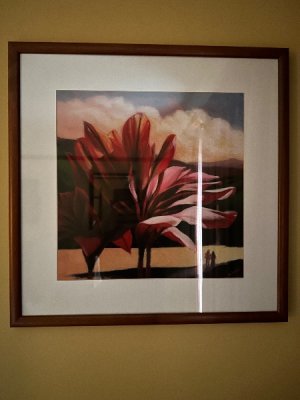 IMG_3381.jpeg