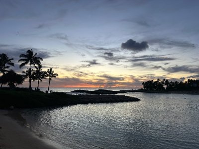 IMG_3441.jpeg