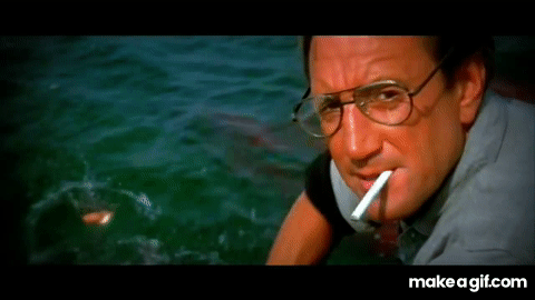 1750980752649.gif