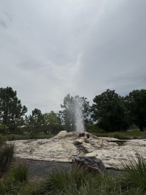IMG_1393.jpeg