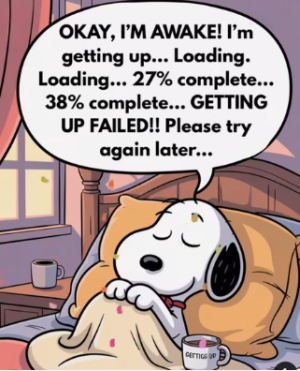 1751033159384.png