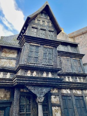 IMG_4656.jpeg IMG_4656.jpeg
