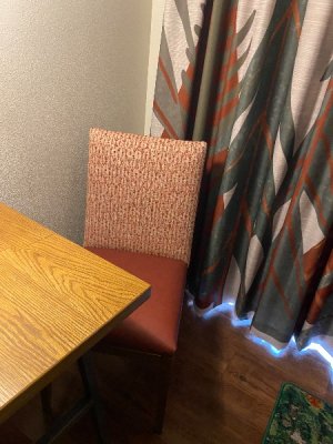 IMG_2976.jpeg