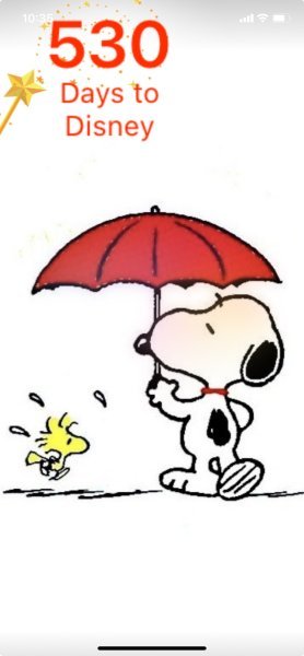 SW RAINY DAY.jpeg