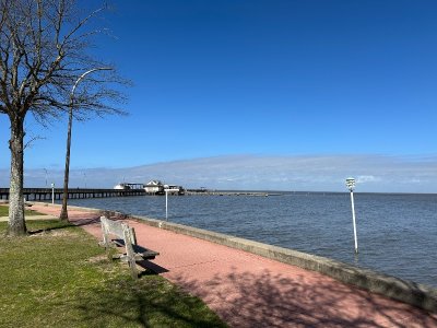 IMG_6675.jpeg