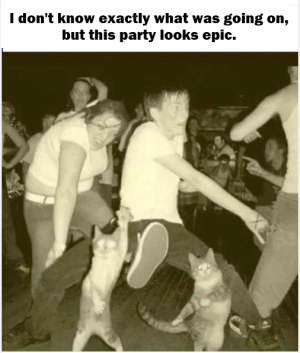 party.png