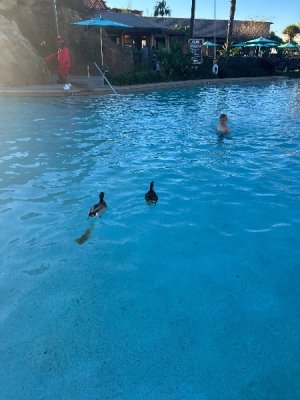 IMG_3626.jpeg