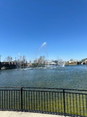 IMG_6770.jpeg