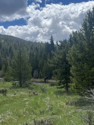 IMG_7995.jpeg