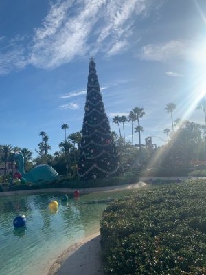 IMG_7401.JPEG