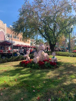 IMG_7411.JPEG