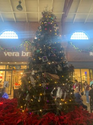 IMG_7424.JPEG