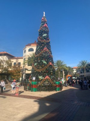 IMG_7426.JPEG