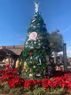 IMG_7427.JPEG