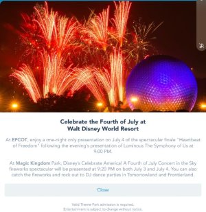 Screenshot_20250701_152032_Disney World.jpg