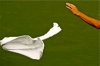 towel.jpg