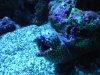 DSCF1427.JPG