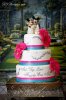 D&V Pic - Cake P.jpg