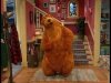 bearbluehouse1.jpg