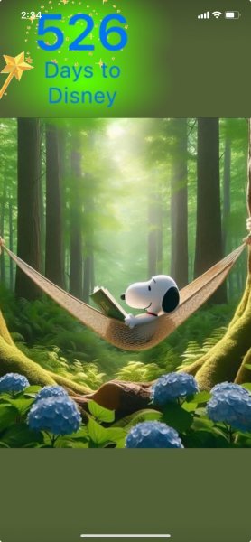 SNOOPY HAMMOCK CHILLING.jpeg