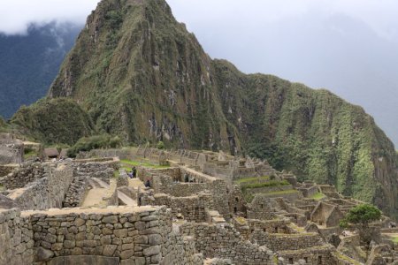 IMG_0713.jpeg