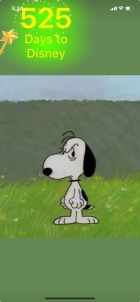 SNOOPY PISSED.jpeg