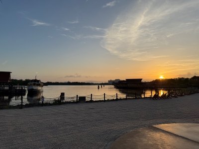 IMG_1190.jpeg
