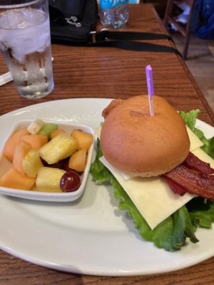 GF Turkey Club Carnation.jpg GF Turkey Club Carnation.jpg