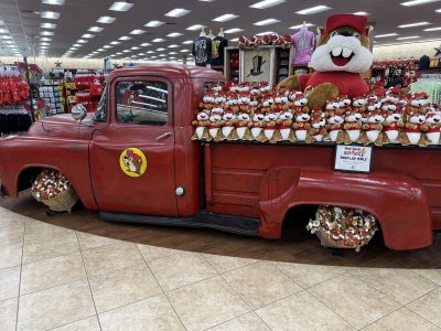 IMG_1255.jpeg