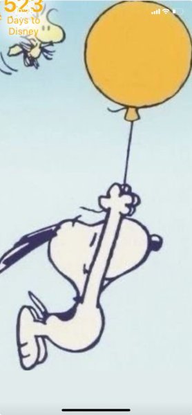 SW BALLOON.jpeg
