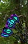 IMG_1439.jpeg