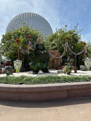 IMG_7128.jpeg