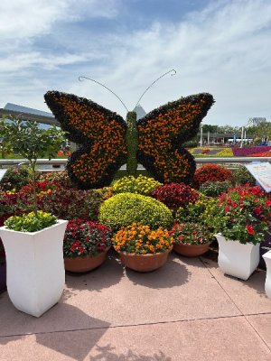 IMG_7135.jpeg