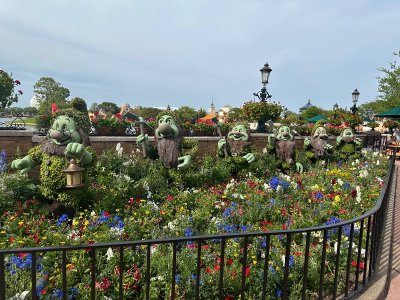 IMG_7157.jpeg