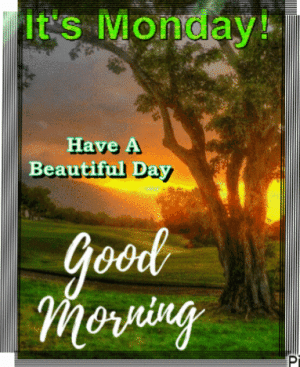 IMG_5897.gif