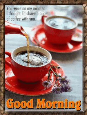 IMG_5899.gif